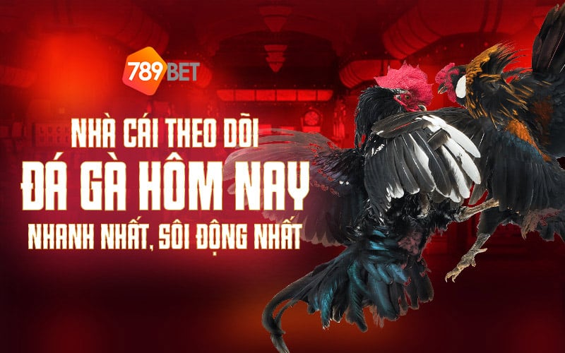 789Bet – Nhà Cái Theo Dõi Đá Gà Hôm Nay Nhanh Nhất, Sôi Động Nhất