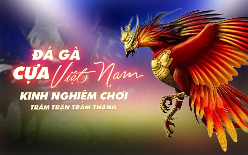 Đá Gà Cựa Việt Nam – Kinh Nghiệm Chơi Trăm Trận Trăm Thắng