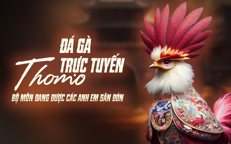 Đá Gà Trực Tuyến Thomo - Bộ Môn Đang Được Các Anh Em Săn Đón