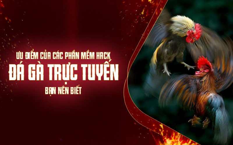 Ưu Điểm Của Các Phần Mềm Hack Đá Gà Trực Tuyến Bạn Nên Biết