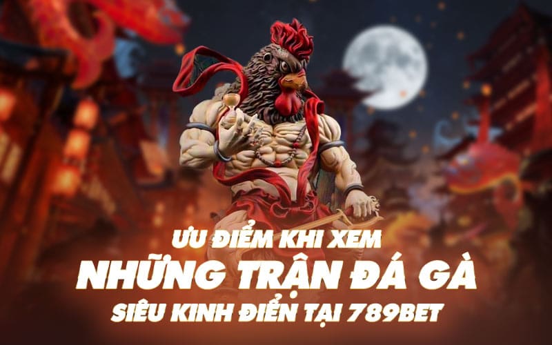 Ưu Điểm Khi Xem Những Trận Đá Gà Siêu Kinh Điển Tại 789Bet