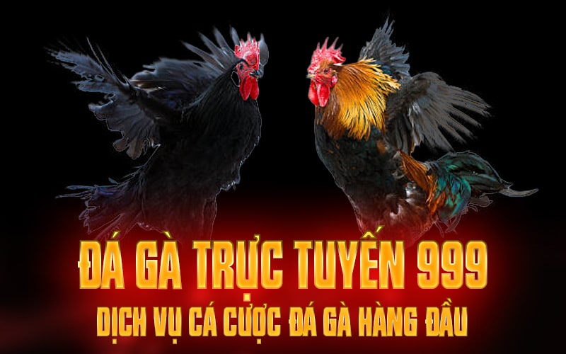 Đá Gà Trực Tuyến 999 - Dịch Vụ Cá Cược Đá Gà Hàng Đầu 