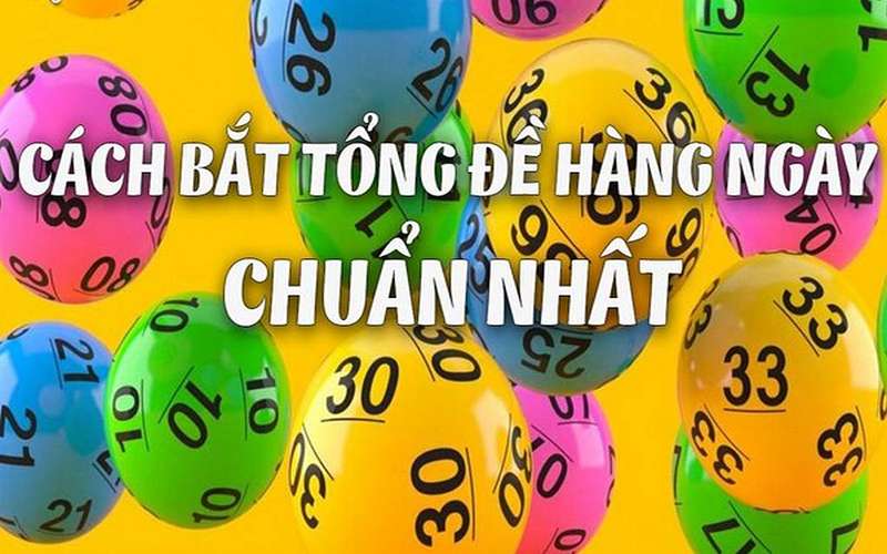 Cách bắt tổng đề hàng ngày chuẩn xác là gì?