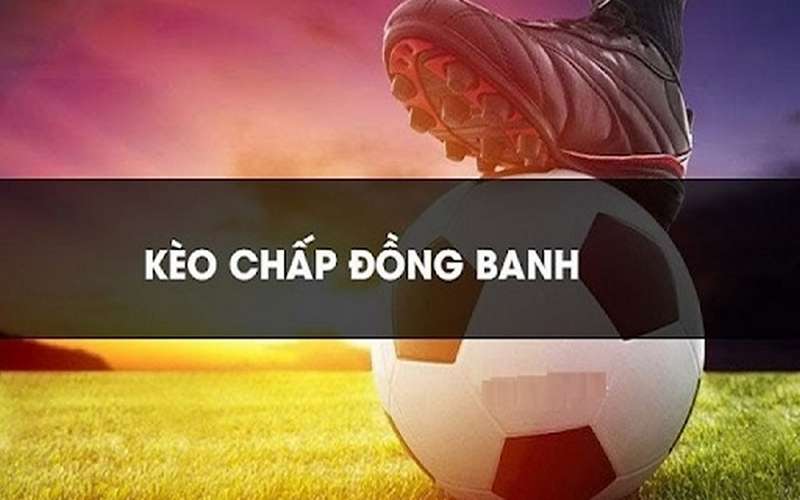 Tổng hợp các kèo nhà cái phổ biến nhất 2023