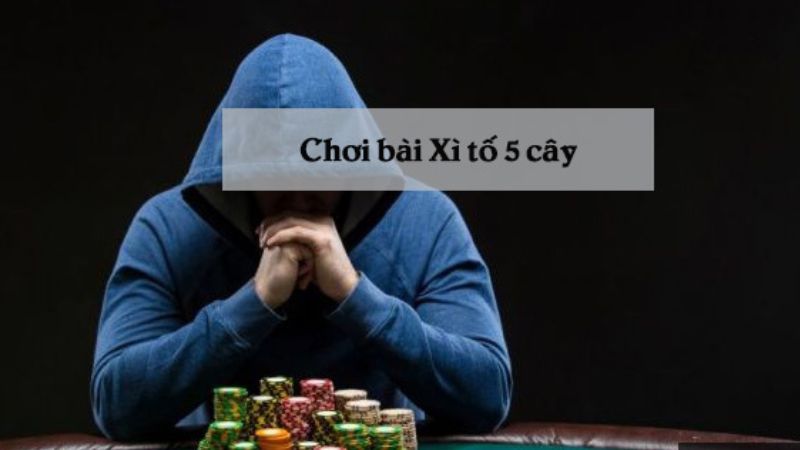 Cach choi xi to 5 cay 1 - Cách chơi xì tố 5 cây chuẩn nhà cái quốc tế Ae888