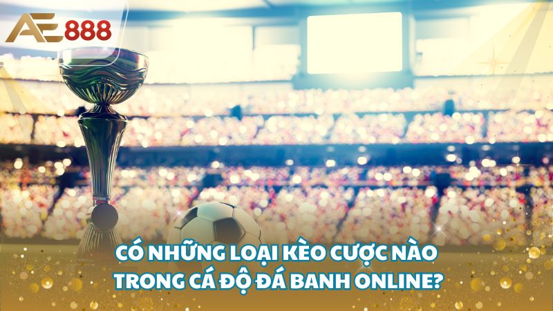 Cach kiem tien tu ca do bong da 3 - Cách kiếm tiền từ cá độ bóng đá dễ dàng nhất