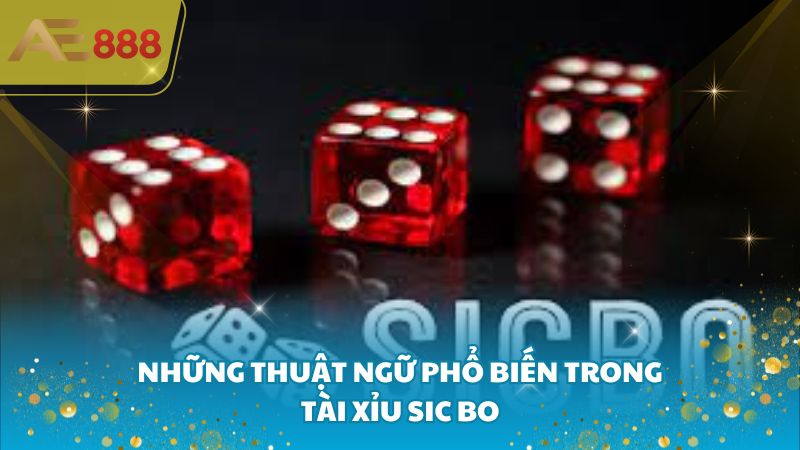 Những thuật ngữ phổ biến trong tài xỉu Sic bo là gì?