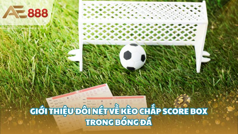 keo chap score box 2 - Kèo chấp score box là gì? Tất tần tật về kèo score box