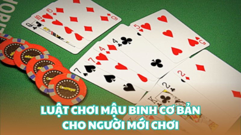 luật chơi mậu binh cơ bản cho người mới